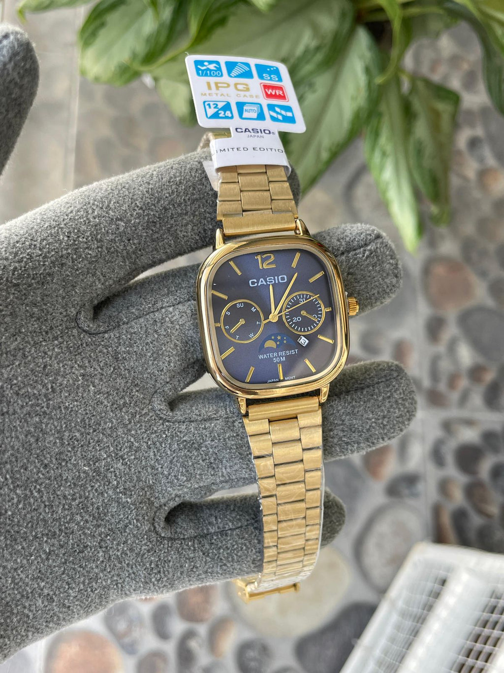 Casio WR