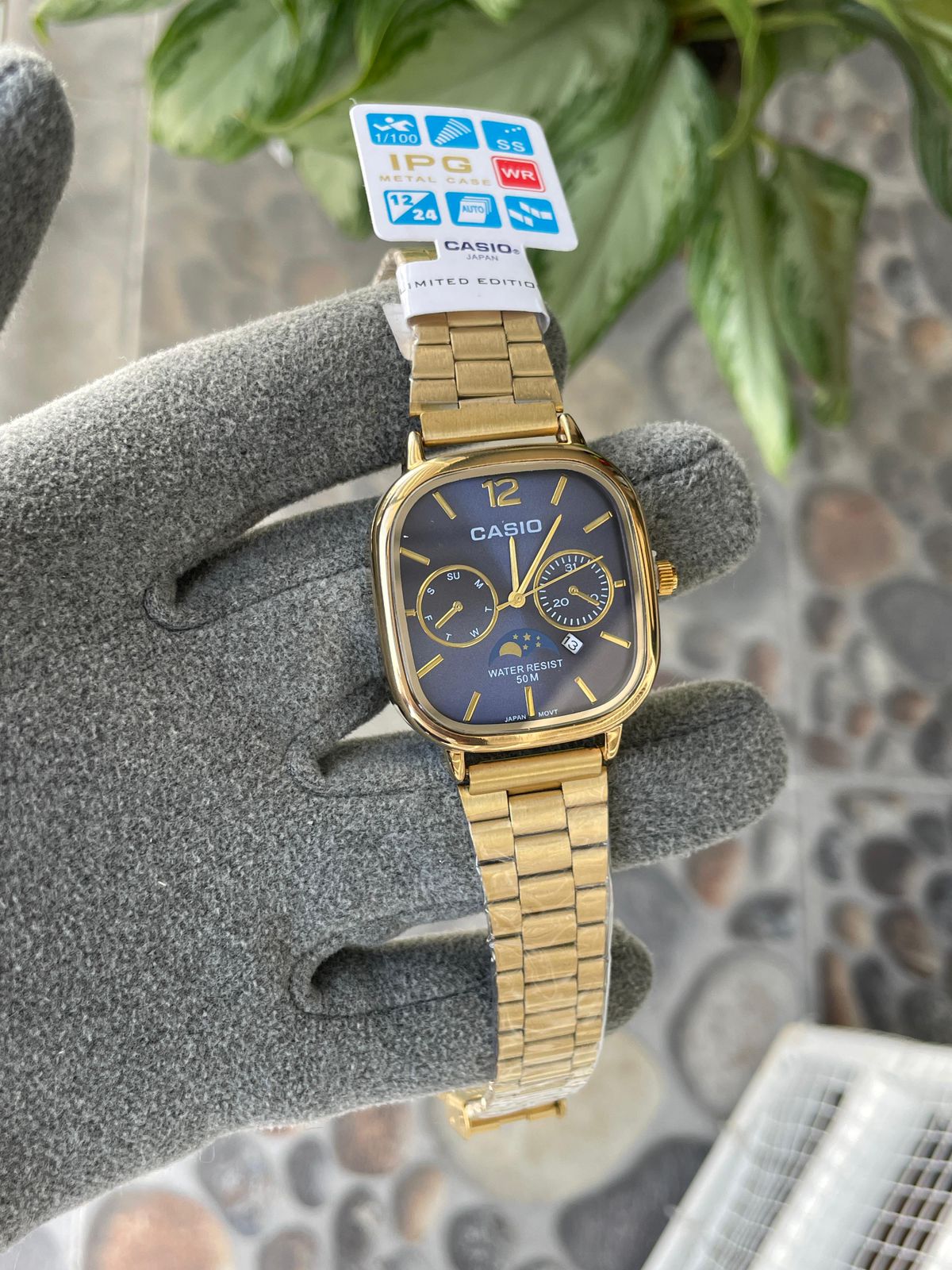 Casio WR
